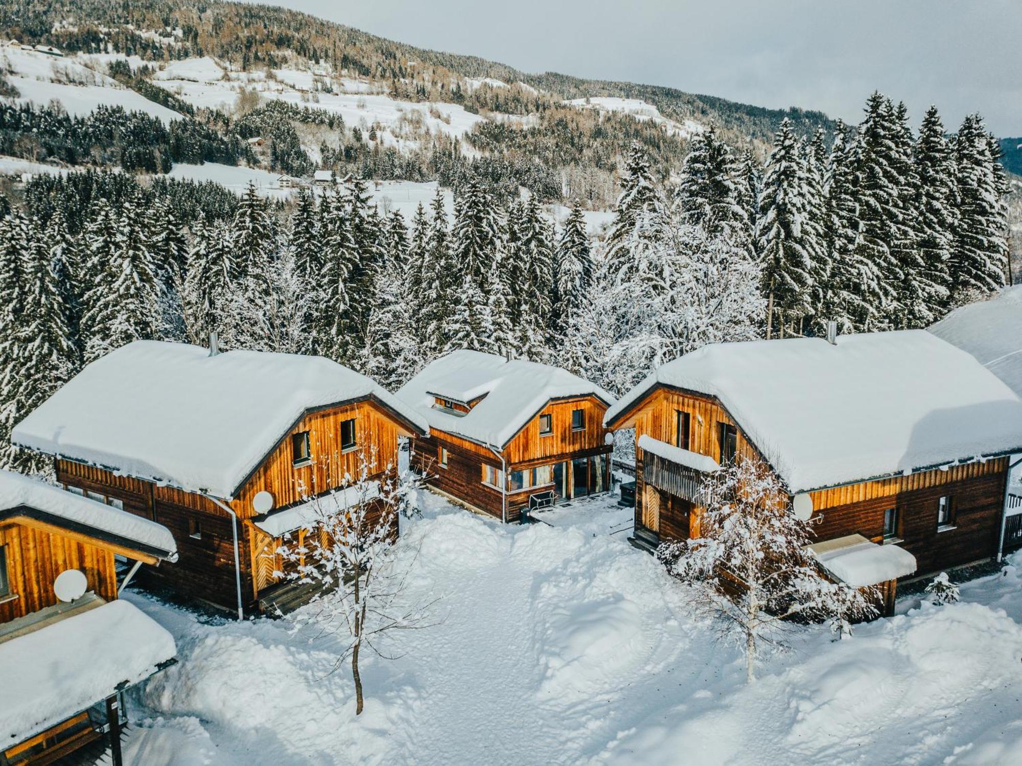 Woody Park Villa Sankt Georgen ob Murau Exterior photo