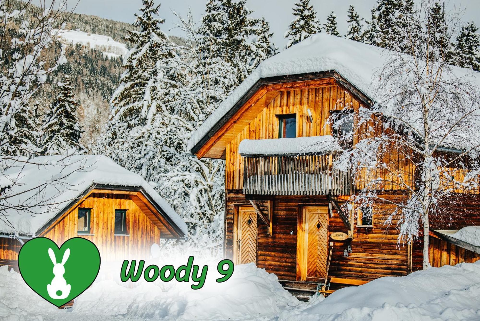 Woody Park Villa Sankt Georgen ob Murau Exterior photo