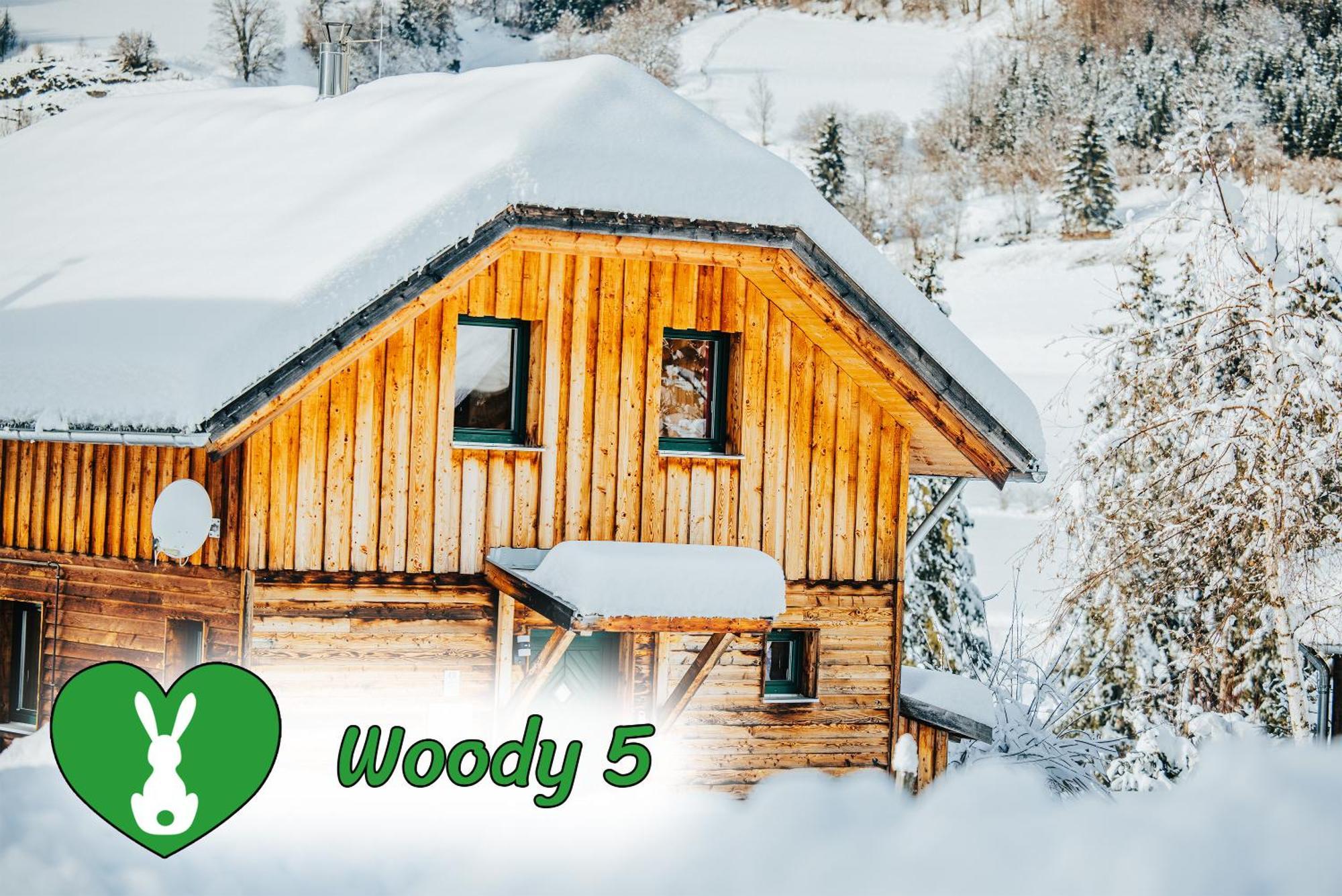Woody Park Villa Sankt Georgen ob Murau Exterior photo